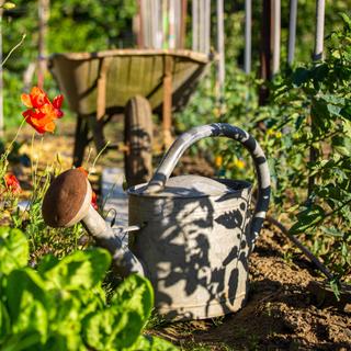 Le climat évolue et oblige les Français à repenser leur&nbsp;jardin et leur&nbsp;potager. ©&nbsp;Thierry RYO, Adobe Stock