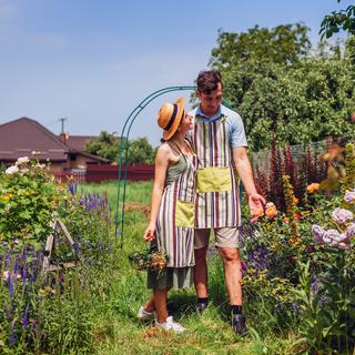 A primavera é uma estação em que você deve deixar seu jardim em paz. ©iStock