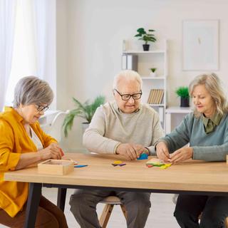 Certains jeux stimulent la neuroplasticité. Studio Romantic, © Adobe stock
