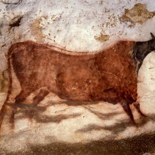 Touro pintado em Lascaux. ©MCC