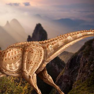  Argentinosaurus (peut-être 40 mètres&nbsp;de long et 90 tonnes). Giganotosaurus devait souvent se regrouper, à un moment de l’année (le départ des femelles pour aller pondre leurs œufs) afin de chasser. Ils essayaient alors d’isoler un vieux dinosaure, un malade ou un jeune membre du troupeau et de le tuer en le blessant. Parfois, Giganotosaurus pouvait attaquer seul des Iguanodons (dinosaure quadrupède et bipède de 9 mètres&nbsp;de long) dans les forêts clairsemées d’Argentine. Cet animal était probablement une machine à tuer, mais sa taille reste un sujet de discussion.
© ДиБгд, Wikimedia Commons, DP