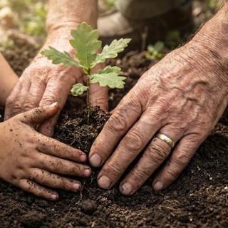 Faut-il éviter de trop mettre ses mains au contact de la terre et des végétaux ? Rien n’est moins sûr à en croire plusieurs recherches menées en Finlande. © Clifford, Adobe Stock (image générée à l’aide de l’IA)