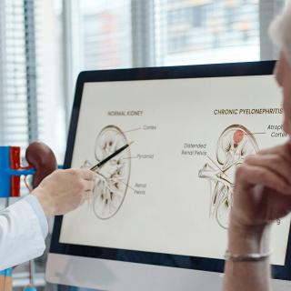 En cas de dysfonctionnement rénal chronique, les troubles cognitifs sont fréquents. © SeventyFour, Shutterstock&nbsp;