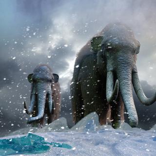 Il y a 700 000 ans, le climat terrestre connaissait un brusque bouleversement de la durée des cycles glaciaires. © denissimonov, Fotolia