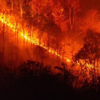 Voici les 5 leviers identifiés par les chercheurs pour protéger les villes des incendies face au changement climatique. ©&nbsp;Walaiporn Sangkeaw, iStock