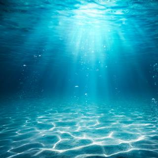 Un immense champ de bulles de méthane a été découvert en mer Baltique. © Romolo Tavani, Adobe Stock