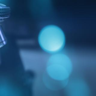 Avec l’ajout de deux miroirs, un microscope permet de voir un spécimen en 3D en temps réel. © freedarts, Adobe Stock