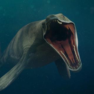 Os mosassauros surgiram há mais de 100 milhões de anos, antes de desaparecerem durante a crise do Cretáceo-Terciário, há 66 milhões de anos. © dottedyeti, Adobe Stock