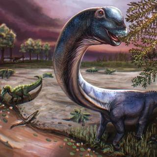 Le Nagatitan chaiyaphumensis, découvert en Thaïlande, pourrait être le plus grand dinosaure jamais identifié en Asie du Sud-Est. ©&nbsp;Patchanop Boonsai