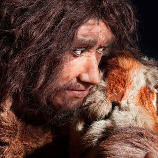  L’Homme de Néandertal devait réaliser des soins dentaires à l’aide de sortes de cure-dents. © procy_ab, Fotolia