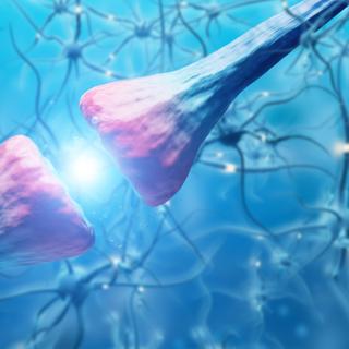 Une nouvelle méthode pour réparer les synapses. ©&nbsp; ImageFlow, Adobe Stock