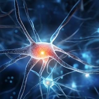  elles sont reconstruites par des réseaux de neurones complexes. Cette étude montre qu’il devient possible d’en décoder une partie. © makna, Adobe Stock