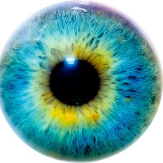 Comment le cerveau peut-il voir des choses qui n’existent pas et être sujet à des hallucinations ? © Thomas Tolkien, Flickr, CC by 2.0