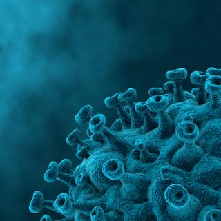 Le variant Omicron provoque des symptômes plus légers que les autres variants. © Crocothery, Adobe Stock