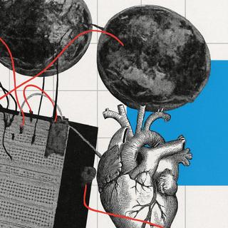 Os shiitakes poderiam substituir componentes eletrônicos nos computadores de amanhã. © Fotomontagem: XD com ChatGPT