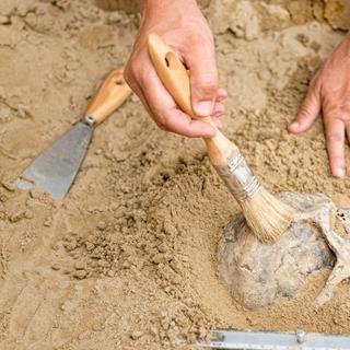 Ces mystérieux objets fabriqués à partir de crânes humains pourraient révéler une pratique oubliée de la Chine néolithique. © Microgen, iStock