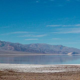 Réfugié dans un unique bassin du désert du Nevada, voici l'incroyable histoire du sauvetage du poisson le plus rare du monde. © Christian Ebel, iStock