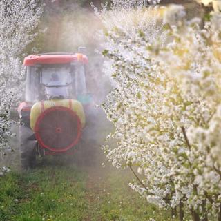 Selon une étude récente de la EFSA,&nbsp;42 % des aliments vendus en Europe contiennent plusieurs résidus de pesticides.&nbsp;© goce risteski, Adobe Stock