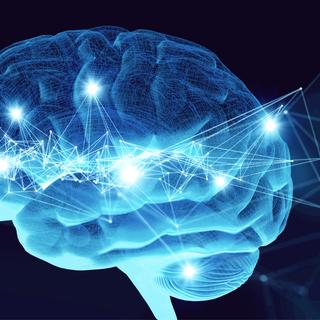  des scientifiques parviennent à faire traverser la lumière dans tout le cerveau humain. © Metamorworks, iStock