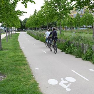 As ciclovias aumentam a segurança e incentivam as pessoas a adotarem a mobilidade de bicicleta. © Richard Villalon, Adobe Stock