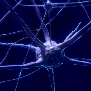 As placas amilóides desempenham um papel fundamental na doença de Alzheimer porque a sua acumulação danifica os neurónios e alimenta a doença. A descoberta de que um aminoácido comum pode reduzir esta formação em modelos experimentais revela um caminho biológico inesperado para conter o processo. © ColiN00B, Pixabay