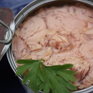 Poderemos voltar a comer atum com total segurança? © nobtis, iStock