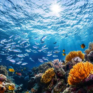 Três espécies até então desconhecidas de peixes-caracol foram identificadas em profundidades de mais de 3.000 metros © Nikola, Adobe Stock.