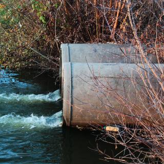 Os medicamentos consumidos ou jogados no vaso sanitário são parcialmente encontrados na água que bebemos. Embora devam supostamente curar-nos, contêm moléculas ativas que podem, num indivíduo saudável, perturbar o metabolismo ou o desenvolvimento. Nenhum estudo demonstra isso em humanos, mas diversas espécies animais são afetadas pelo problema. © aquatarkus, Adobe Stock