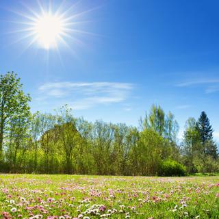A primavera meteorológica acaba de começar na França. © candy1812, Adobe Stock