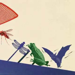 Faut-il condamner le moustique… ou apprendre à mieux le contrôler ? Derrière le procès symbolique se cache un véritable dilemme scientifique, écologique et sanitaire. © XD, ChatGPT