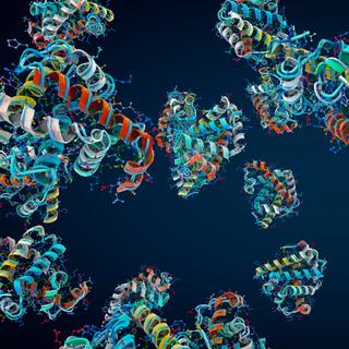 Une IA prédit avec précision la structure des protéines. © Christoph Burgstedt, Adobe Stock