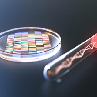 Si la méthode CRISPR offre bien des promesses, elle fait également l&#39;objet de controverses. © Fotolia, Connect world