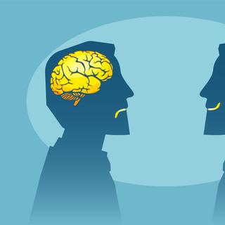 Mais do que o tamanho, são as conexões entre os neurônios que influenciam a inteligência. © Feodora, Fotolia