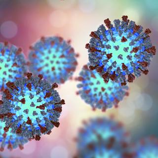 Testez vos connaissances en matière de virus et maladies contagieuses. © Kateryna_Kon, Adobe Stock