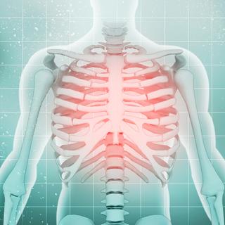 Questionário: o corpo humano. © jijomathai, Fotolia