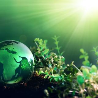 Plusieurs labels ou étiquettes peuvent orienter notre démarche de développement durable. © Miha Creative, Adobe Stock