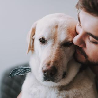 L'euthanasie est, paradoxalement, la dernière preuve d’amour que les maîtres peuvent offrir à leur compagnon. ©Yakobchuk Olena, Adobe Stock