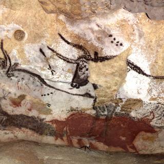 La visite des grottes de Lascaux est en réalité une visite de reproduction, car Lascaux I a été endommagé par le tourisme de masse. © Tractatus, Flickr, CC by-nc-sa 2.0
