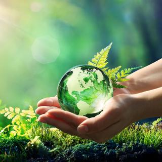 Si nous voulons continuer à bien vivre sur notre Terre, les scientifiques nous recommandent de respecter certaines limites planétaires. © Romolo Tavani, Adobe Stock
