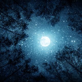 De tout temps, les hommes ont donné des noms à la Lune. À la Pleine lune notamment. Des noms que l’on retrouve aujourd’hui encore. Mais ces noms-là n’ont aucune racine scientifique. © Tryfonov, Adobe Stock