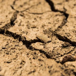 O conceito de seca corresponde a uma noção bastante temporal enquanto o conceito de aridez parece ser espacial. © nungning20, Adobe Stock