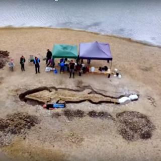 Cette créature préhistorique de 10 mètres pourrait être l’une des plus grandes découvertes paléontologiques britanniques. ©&nbsp;photo _ capture d’écran _ @anglianwater via YouTube
