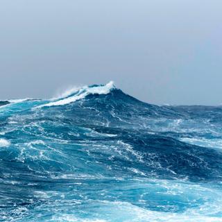 Poderia este tubarão da Groenlândia nos ensinar como viver por 400 anos? © Bobbushphoto, iStock