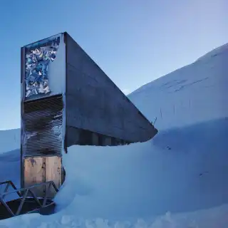 Des graines sont censées pouvoir attendre des décennies dans le froid, mais certaines commencent déjà à montrer leurs limites. © Einar Jørgen Haraldseid, Wikipedia ; photomontage : XD, Futura