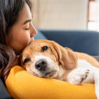 La science dévoile le mystère de la ressemblance homme-chien. © Kiwis, iStock