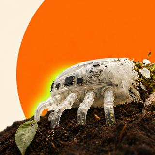 Imagine um robô compostável. Este é o feito que os pesquisadores coreanos alcançaram. © XD, ChatGPT