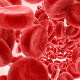 La thérapie génique est encourageante pour combattre l&#39;hémophilie, une maladie génétique rare qui engendre des troubles de la coagulation. © Alexandr Mitiuc, Fotolia