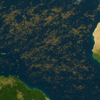Un changement majeur affecte la biodiversité de l'océan atlantique. Image d'illustration © Karine Durand, image Bing&nbsp;