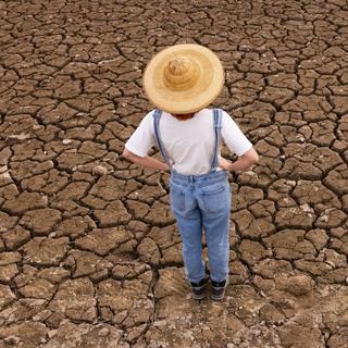 As secas que durarão vários anos aumentarão nas próximas décadas. © VITOR, Adobe Stock