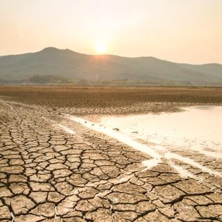 O clima global sofreu uma reviravolta radical desde o início dos anos 2000. © piyaset, Adobe Stock